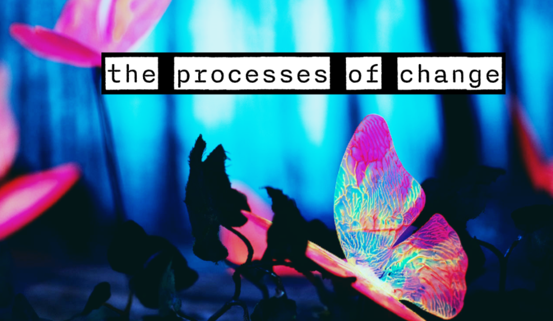 The Processes of Change