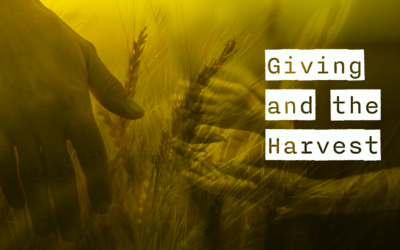 Giving and the Harvest