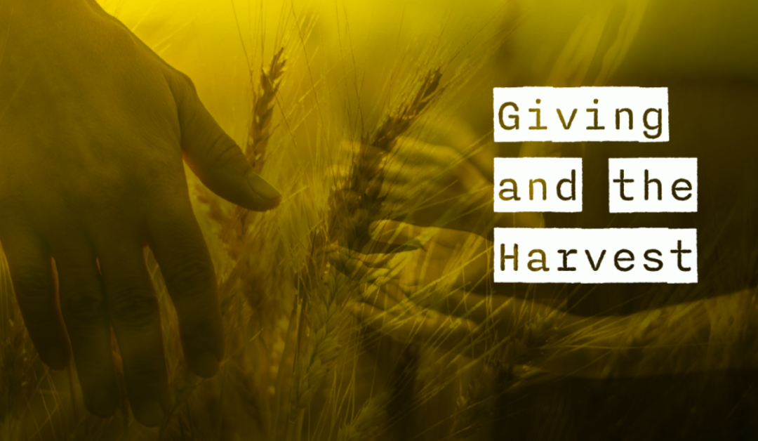 Giving and the Harvest