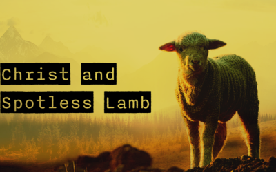 Jesus – Christ and Spotless Lamb