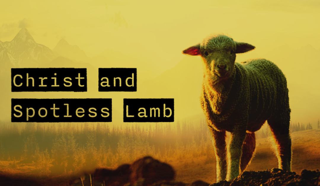 Jesus – Christ and Spotless Lamb