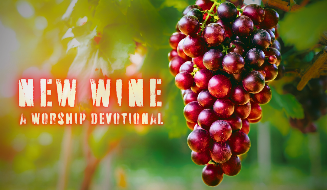 New Wine: A Worship Devotional